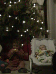 the Christmas tree